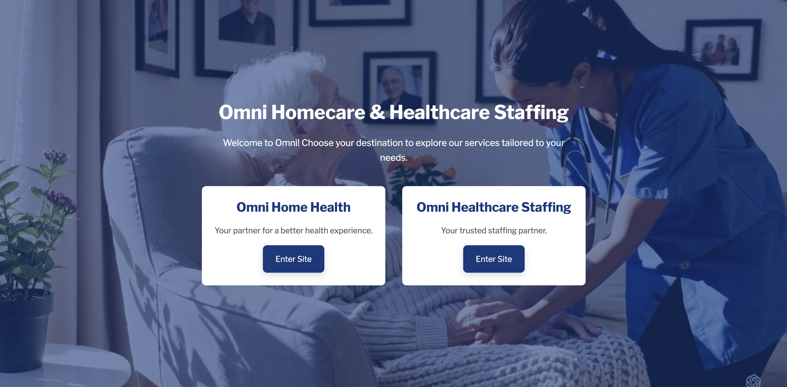 Omnihealth Care - Healthcare Operations